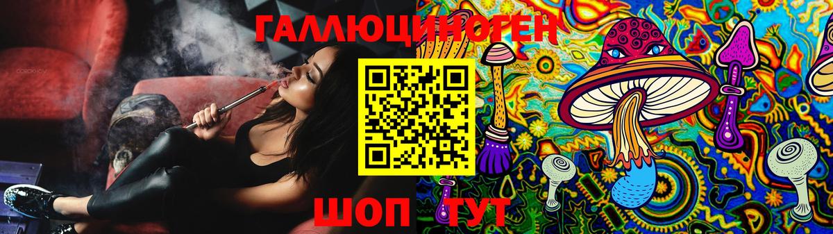 Обнинск  Псилоцибиновые грибы Psilocybine cubensis  Вход с VPN 